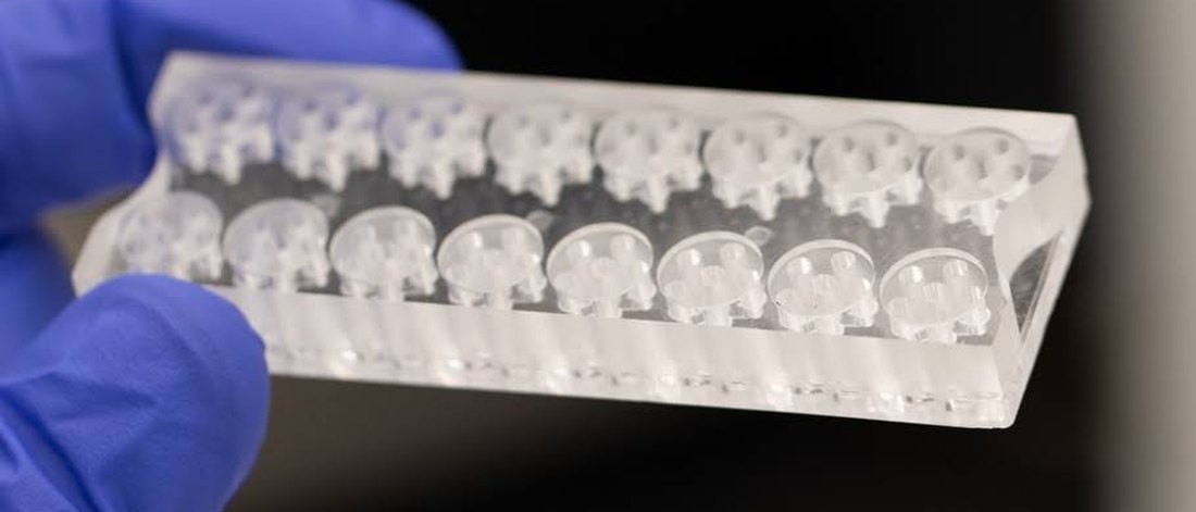 A CoreX Bio-Avatar chip held in a gloved hand, with wells each holding a different living organ model